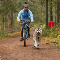 Bikejoring (1 hour)